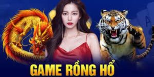 Rồng hổ i9bet