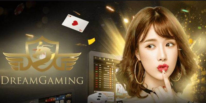 Giải thích về cổng dream gaming