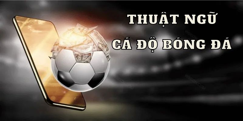 Phân loại thuật ngữ cá cược bóng đá theo nhóm 