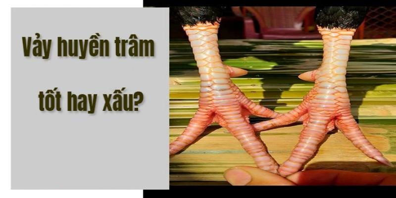 Huyền trâm là lớp vảy quý ẩn sâu bên trong